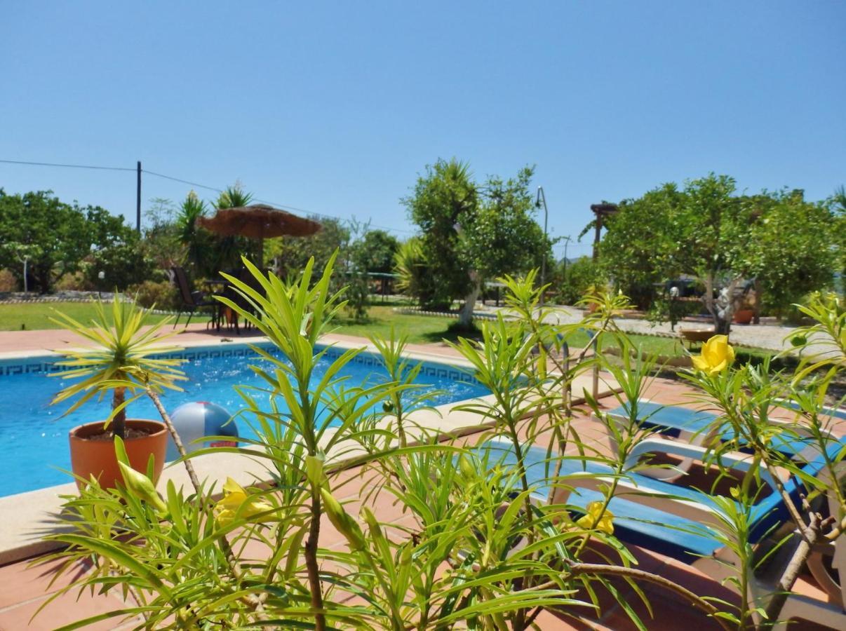 Bed and Breakfast Escuela La Crujia Velez Malaga Exterior foto