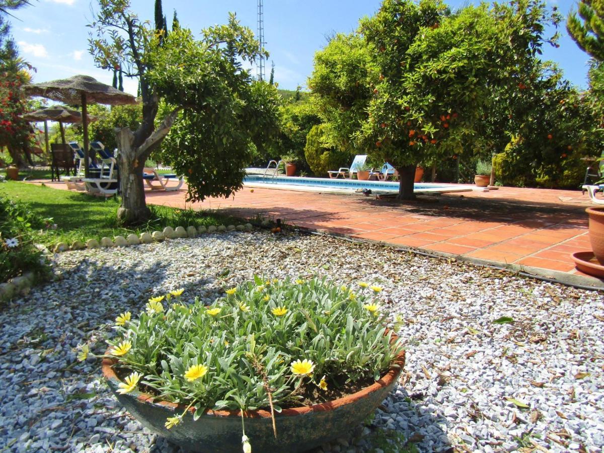 Bed and Breakfast Escuela La Crujia Velez Malaga Exterior foto