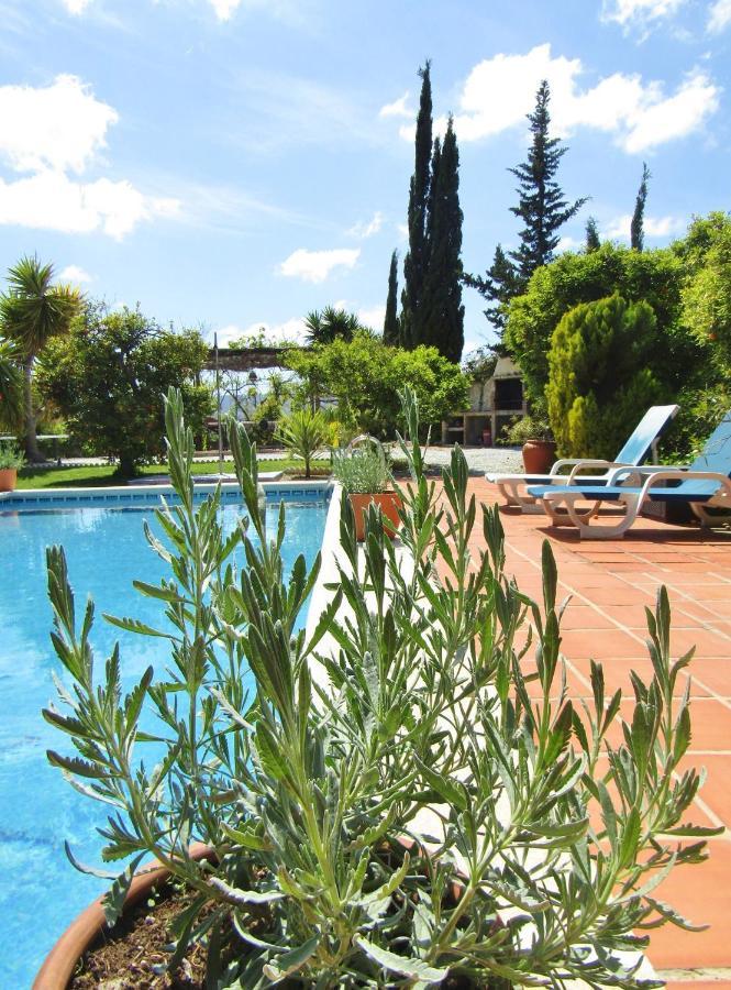 Bed and Breakfast Escuela La Crujia Velez Malaga Exterior foto